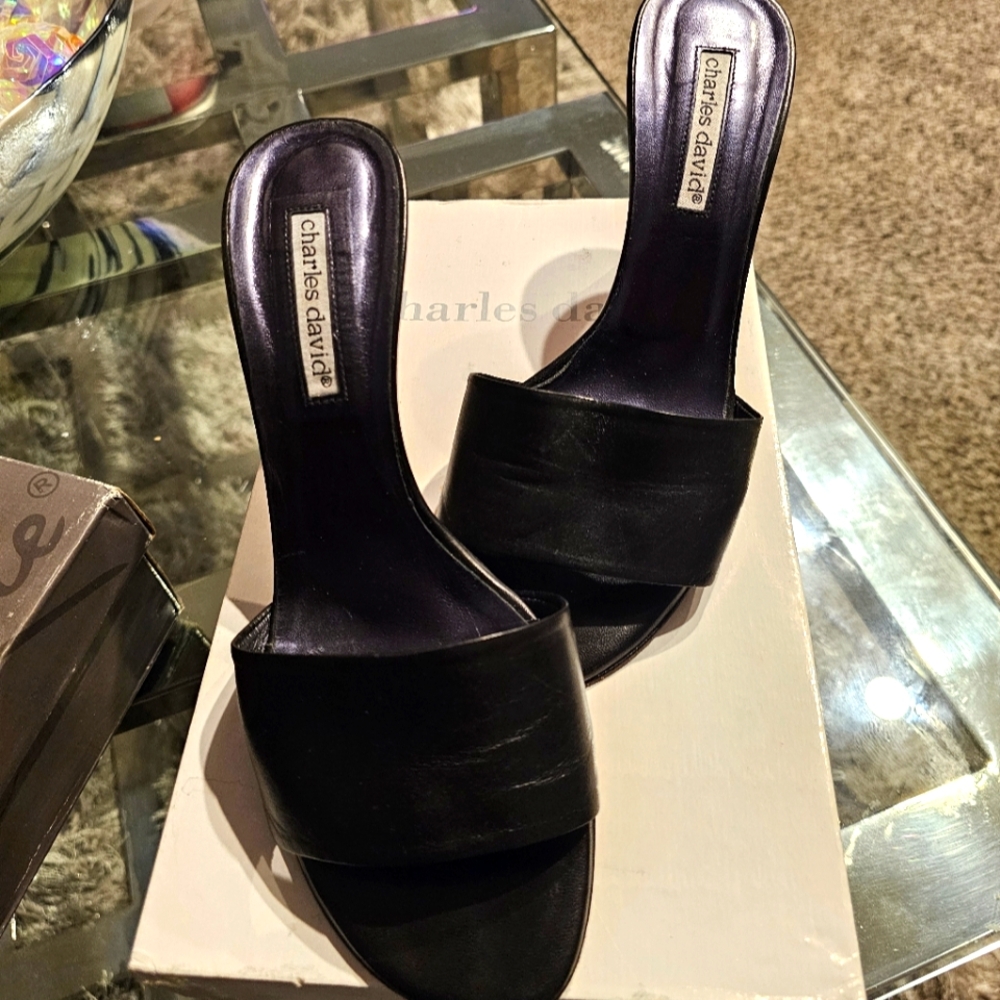 Charles David shoe
